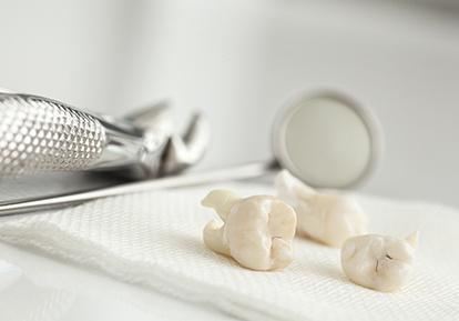 multiple teeth sitting on tray